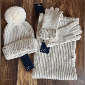 Hat, Scarf, and Glove winter accessories set